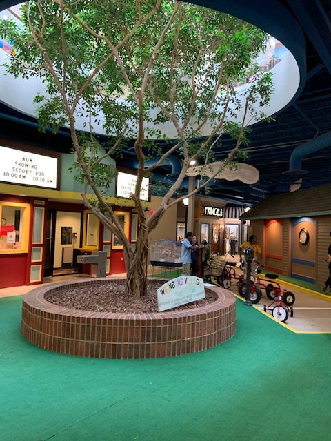 Overview shot of tree.jpg